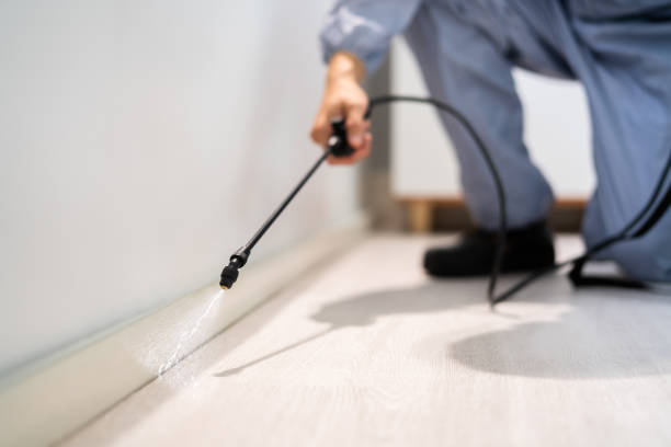 Licensed Termite Control service in Fontana, CA - Nex Pest Control