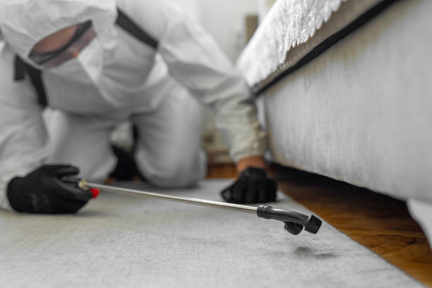 Professional Termite Control technician working in Fontana, CA