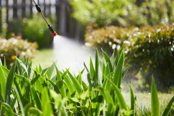 24/7 Emergency Termite Control experts in Fontana, CA