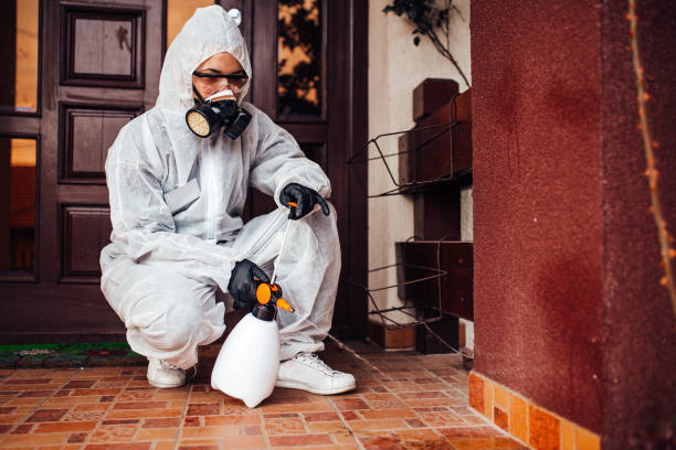 Reliable Termite Control contractor in Fontana, CA by Nex Pest Control