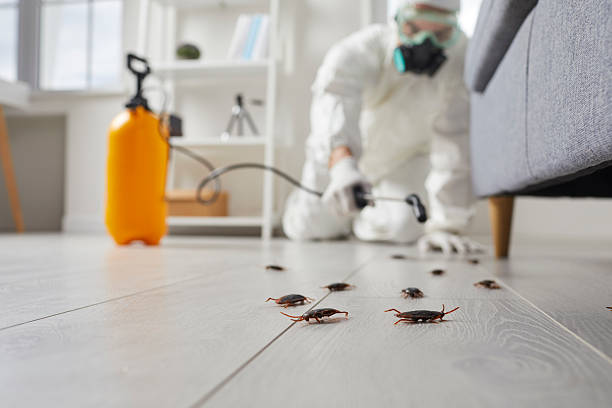 Trusted Mosquito Control service in Fontana, CA - Nex Pest Control