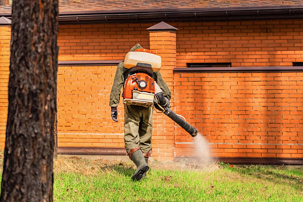 Trusted Termite Control service in Fontana, CA - Nex Pest Control